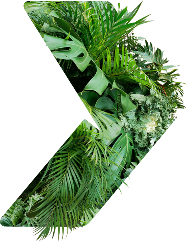 Leaf filled Brymec chevron
